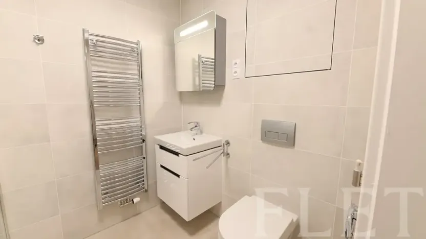Pronájem bytu 1+kk, Praha - Žižkov, Hartigova, 48 m2