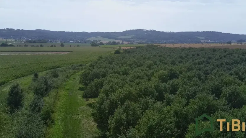 Prodej sadu/vinice, Vanovice, 5319 m2