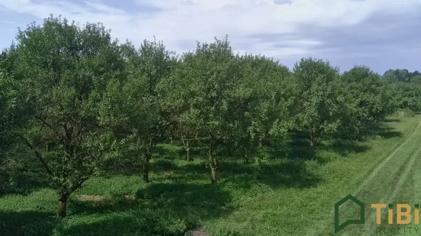 Prodej sadu/vinice, Vanovice, 5319 m2