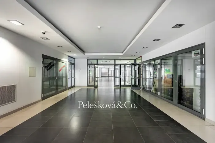 Prodej bytu 2+kk, Praha - Holešovice, Na Maninách, 52 m2