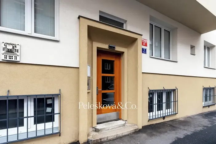 Prodej bytu 3+kk, Praha - Žižkov, Viklefova, 100 m2