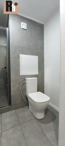 Pronájem bytu 1+kk, Ostrava, Gen. Píky, 29 m2