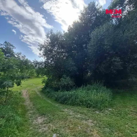 Prodej pozemku pro bydlení, Světlá Hora - Dětřichovice, 3506 m2