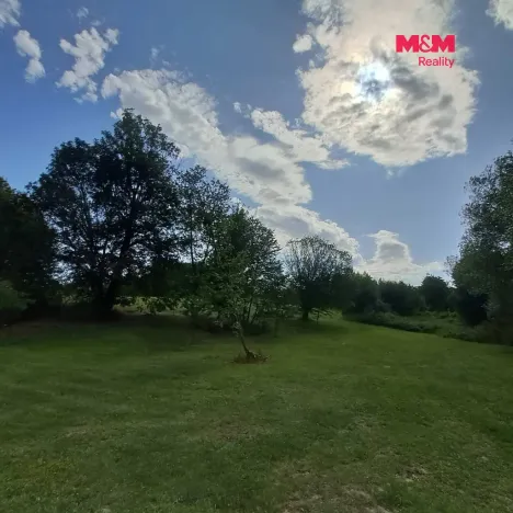 Prodej pozemku pro bydlení, Světlá Hora - Dětřichovice, 3506 m2