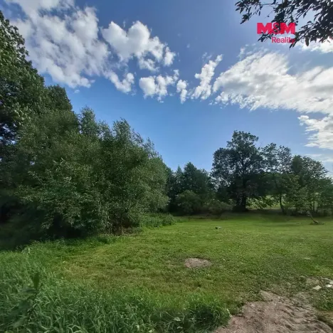 Prodej pozemku pro bydlení, Světlá Hora - Dětřichovice, 3506 m2