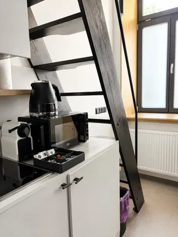 Prodej ubytování, Praha - Karlín, Prvního pluku, 17 m2