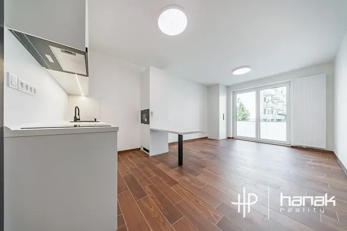Pronájem bytu 1+kk, Olomouc, Třída Jiřího Pelikána, 33 m2