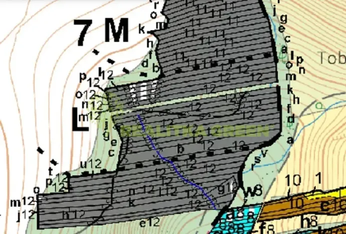 Prodej lesa, Popovice, 3779 m2