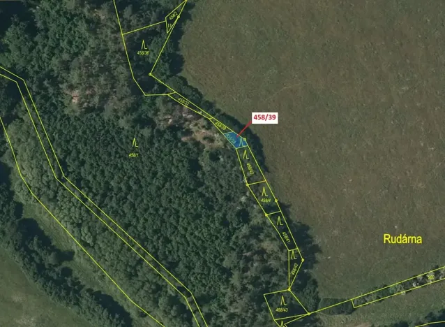 Dražba lesa, Břežany, 50 m2