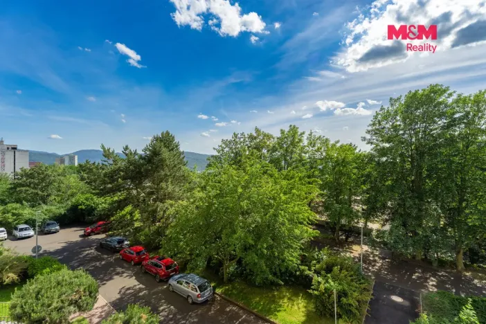 Prodej bytu 1+1, Ústí nad Labem - Severní Terasa, Švestková, 36 m2