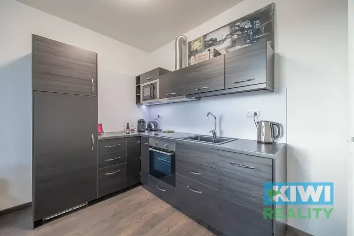 Pronájem bytu 2+kk, Ostrava, Důlní, 55 m2