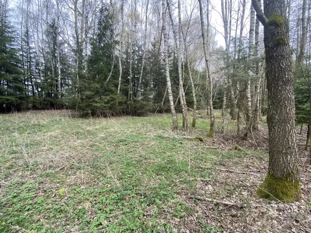Prodej pozemku, Volfířov - Brandlín, 5958 m2