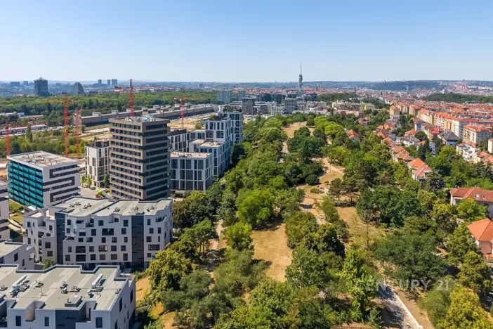 Prodej bytu 4+kk, Praha - Žižkov, Olgy Havlové, 100 m2