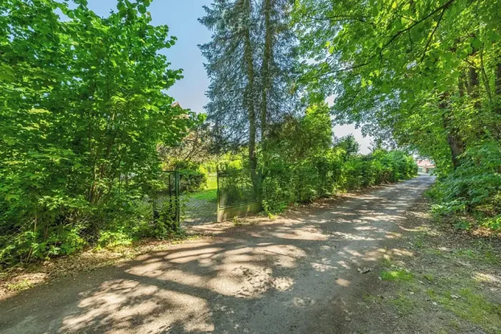 Prodej chaty, Nová Ves pod Pleší, 100 m2