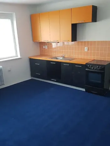 Prodej činžovního domu, Kamenice nad Lipou, Palackého, 200 m2