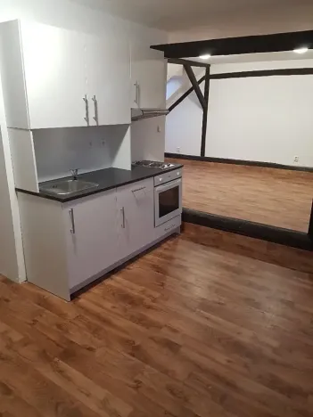 Prodej činžovního domu, Kamenice nad Lipou, Palackého, 200 m2