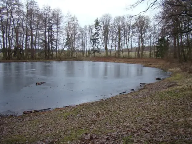 Pronájem rybníku, Třebíč, 4209 m2