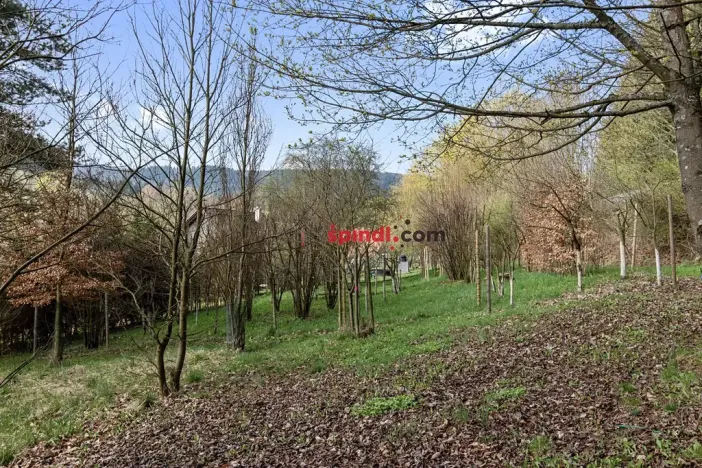 Prodej rodinného domu, Chvaleč, 188 m2