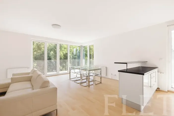 Pronájem bytu 3+kk, Praha - Hodkovičky, U Zátiší, 109 m2