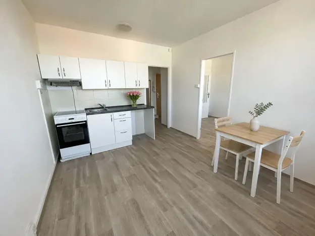 Pronájem bytu 1+1, Litvínov, Valdštejnská, 37 m2
