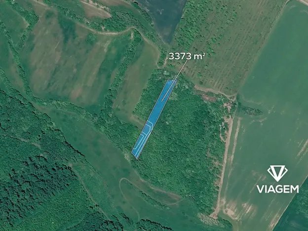 Prodej pole, Čejkovice, 3373 m2