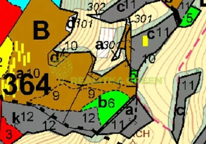 Prodej lesa, Pozděchov, 36934 m2