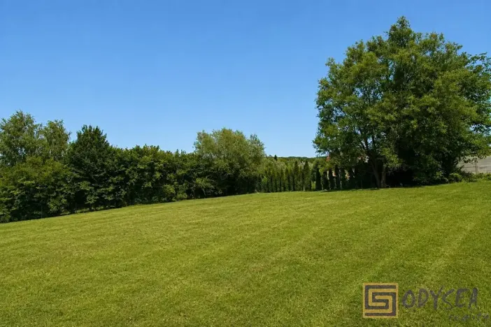 Prodej pozemku pro bydlení, Ostrava, Těšínská, 1104 m2