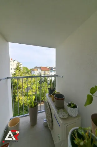 Prodej bytu 2+1, Brno, Merhautova, 63 m2