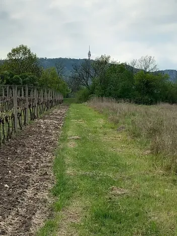 Prodej pozemku pro bydlení, Dolní Věstonice, 834 m2