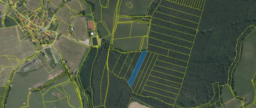 Prodej lesa, Chlumany, 4406 m2