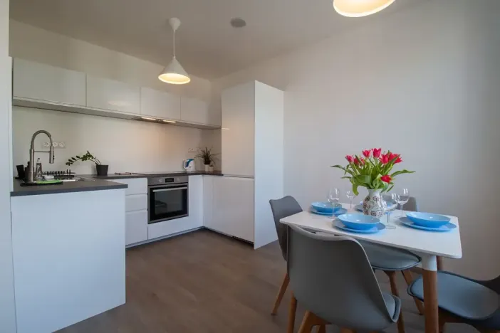 Pronájem bytu 2+kk, Praha - Vinohrady, Perucká, 42 m2
