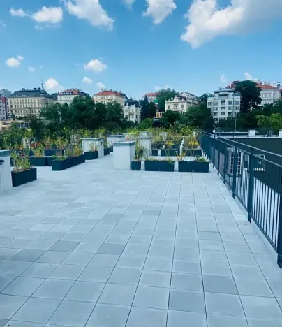 Pronájem bytu 2+kk, Praha - Vinohrady, Perucká, 42 m2