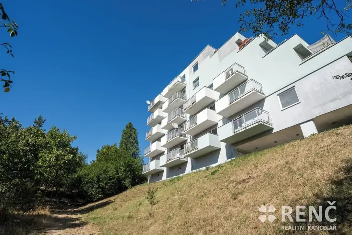 Prodej bytu 1+kk, Brno, Tomečkova, 46 m2