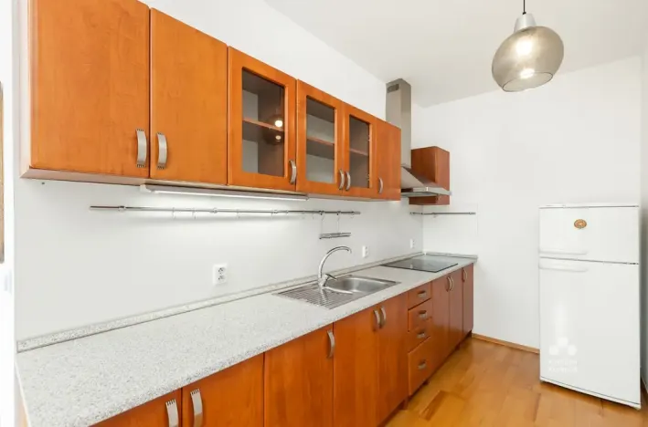Pronájem bytu 1+kk, Praha - Podolí, Dvorecká, 55 m2