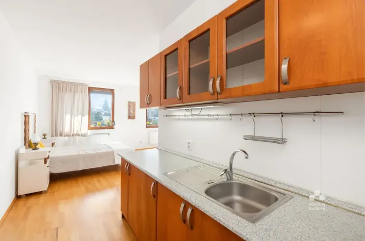 Pronájem bytu 1+kk, Praha - Podolí, Dvorecká, 55 m2