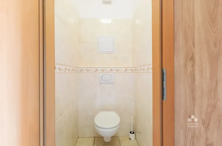 Pronájem bytu 1+kk, Praha - Podolí, Dvorecká, 55 m2