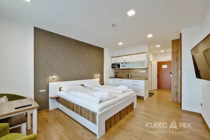 Prodej bytu 1+kk, Frymburk, 30 m2