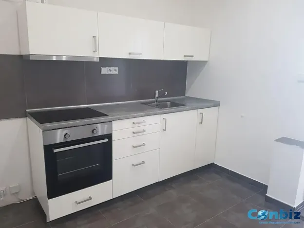 Pronájem bytu 1+1, Praha - Holešovice, Bubenské nábřeží, 40 m2