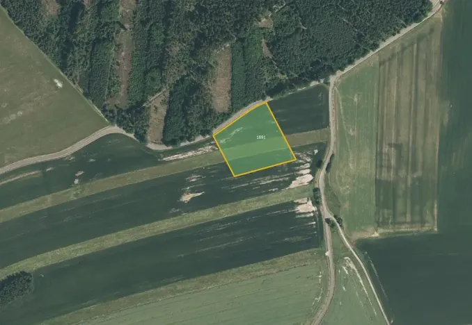 Prodej pole, Biřkov, 9293 m2