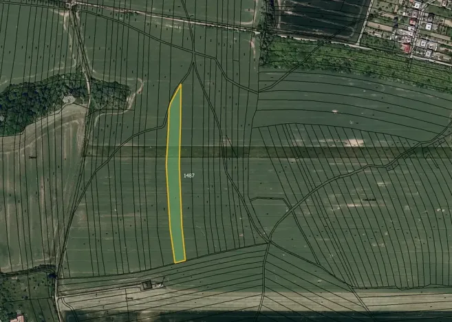 Prodej pole, Osvětimany, 4331 m2