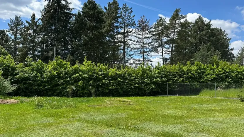Prodej rodinného domu, Vojkov, 171 m2