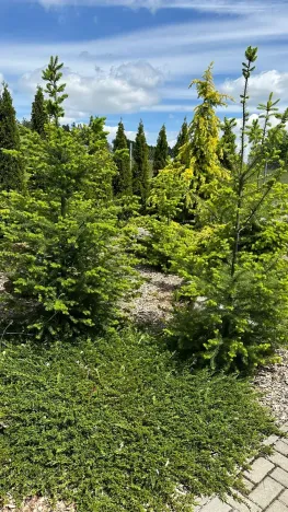 Prodej rodinného domu, Vojkov, 171 m2