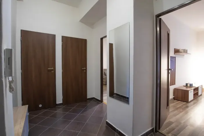 Prodej bytu 2+kk, Praha - Žižkov, Jana Želivského, 56 m2