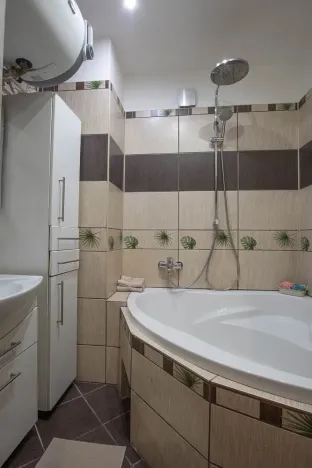 Prodej bytu 2+kk, Praha - Žižkov, Jana Želivského, 56 m2