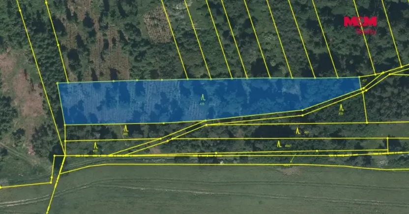 Prodej lesa, Slabčice - Písecká Smoleč, 48910 m2
