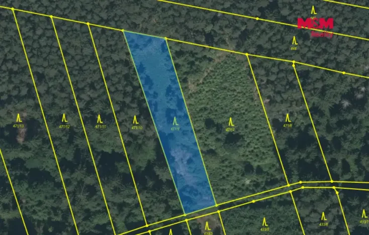 Prodej lesa, Slabčice - Písecká Smoleč, 48910 m2