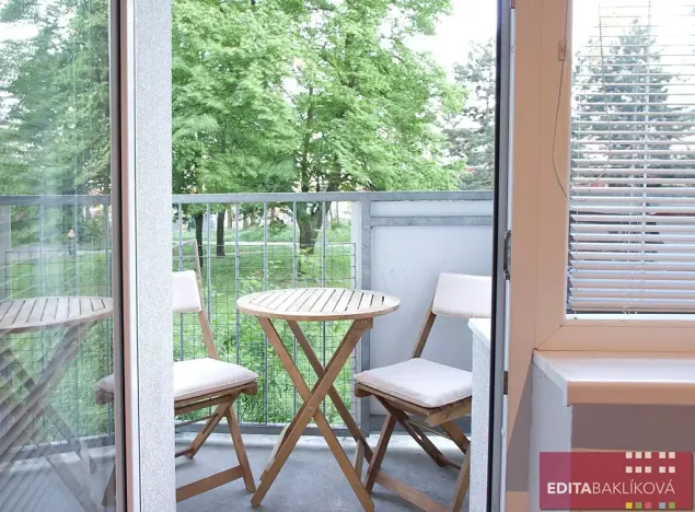 Pronájem bytu 3+1, Olomouc, Pionýrská, 60 m2