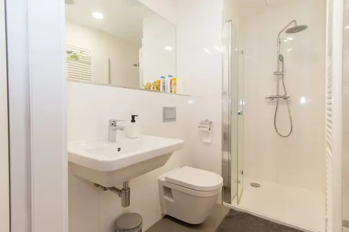 Pronájem bytu 2+kk, Praha - Vinohrady, Perucká, 36 m2