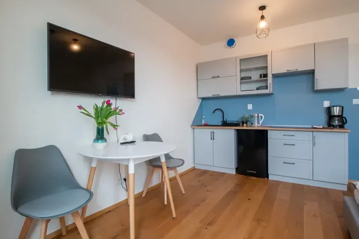 Pronájem bytu 1+kk, Praha - Vinohrady, Perucká, 27 m2
