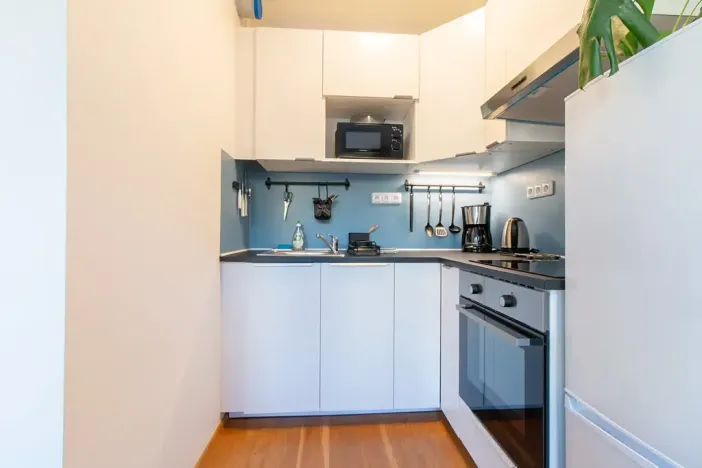 Pronájem bytu 2+kk, Praha - Vinohrady, Perucká, 40 m2